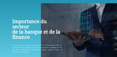 https://www.banque-finance.fr